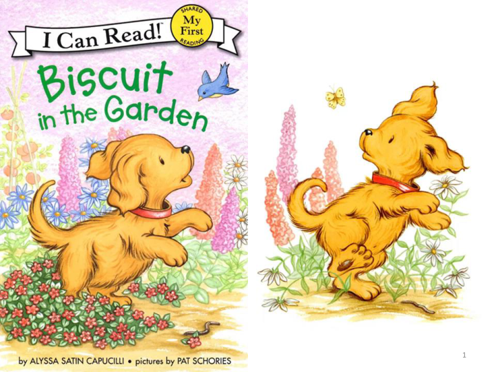 in the Garden 小饼干狗在花园